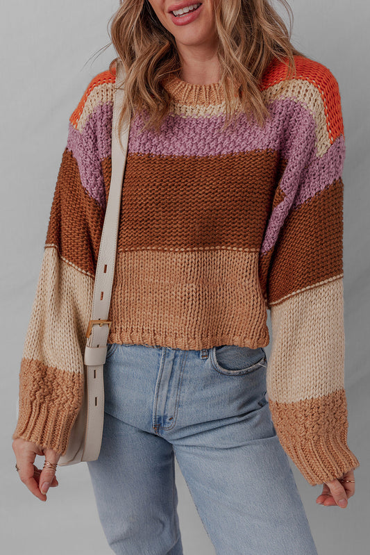 Colorblock Crewneck Drop Shoulder Sweater for Women
